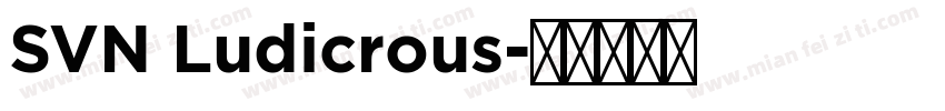 SVN Ludicrous字体转换